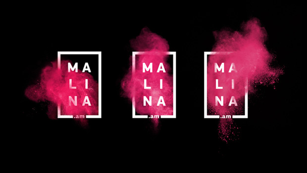 俄罗斯Malina在线视频网站新LOGO